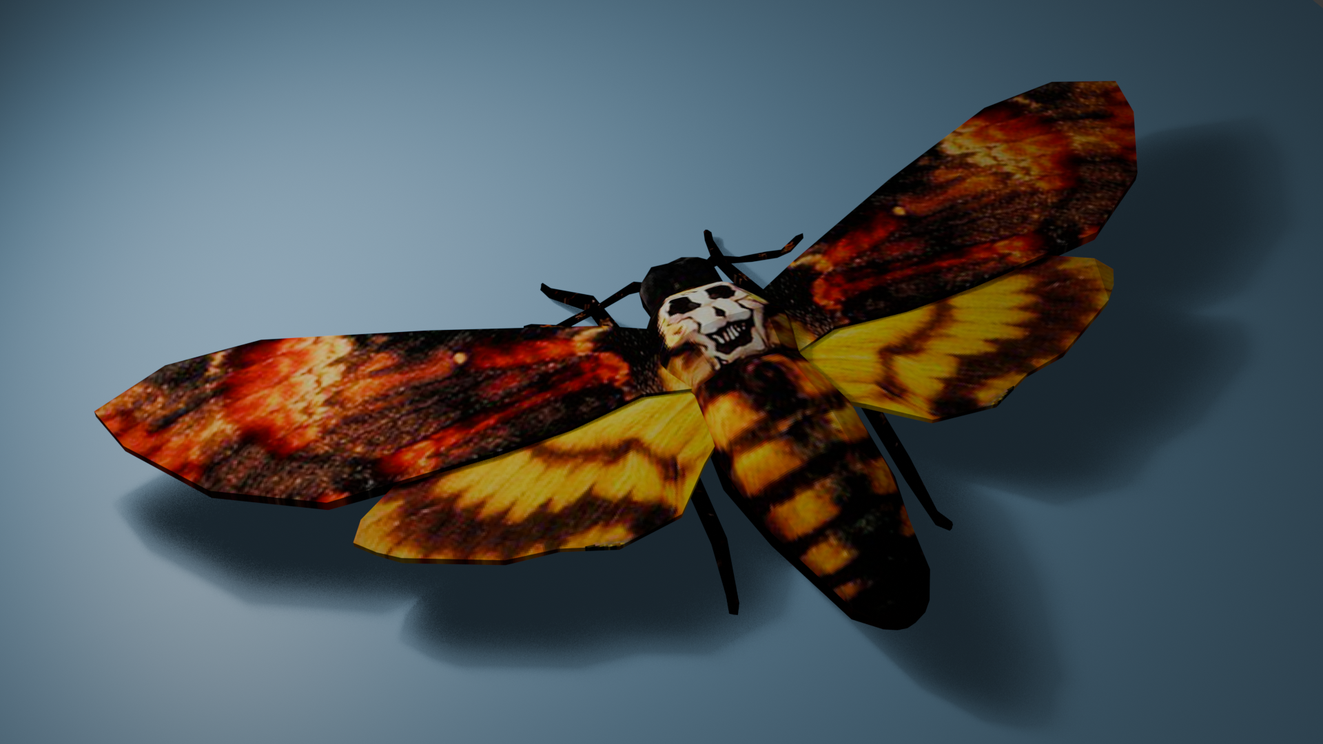 Deaths-head hawkmoth 3D model