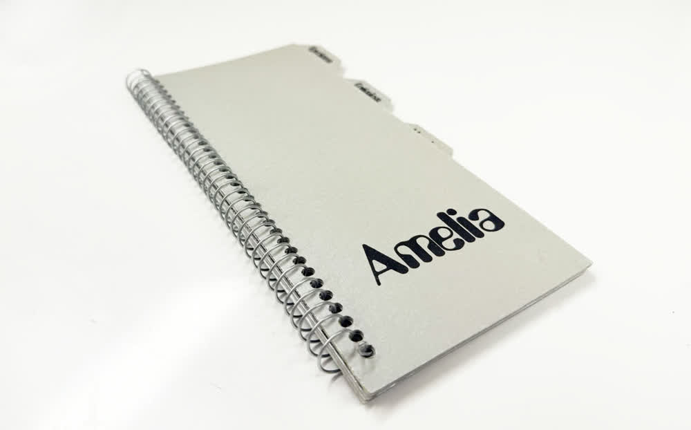 Amelia Zine cover image